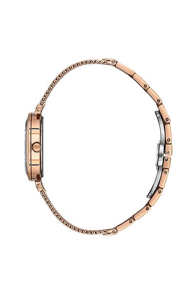 Essence D1210.420 Wrist Watch