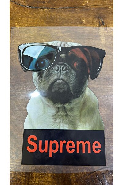 Gönülden Tasarım 25X19 CM FERĂSTREȚĂȚĂ IMPRIMARE TRANSFER CĂTUȘĂ ARMĂ