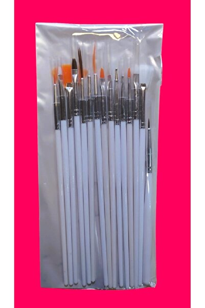 madam shushu Nail Master 15 Adet Naıl Art Dızayn Ve Jel Fırça Setı