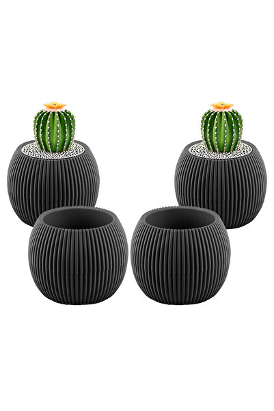 TEMMUZ HOME 4 Adet 0.15 Litre Mini Mercan Kaktüs Sukulent Saksısı Minik Plast...