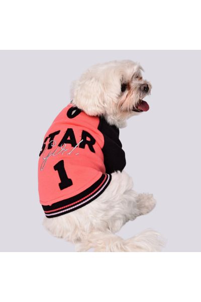GedyCo Star Girl Fleece Small Breed Dog Sweatshirt