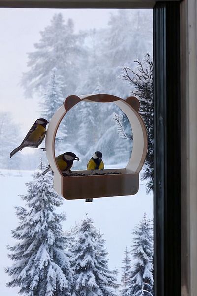 AHWALL Premium Bird Pattern Adhesive Window Cam with Suction Cup