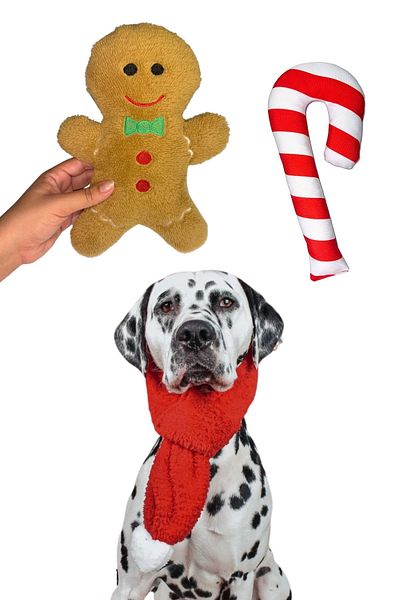 Havhav Havrika Years Dog Toys Set - S m L Rustle Plush Cookie, Vikvikli Candy