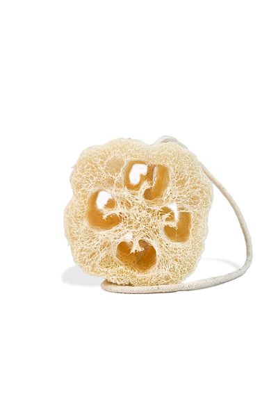 Levand 100% Natural Pumpkin Fiber