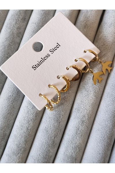 Brassito Women's Steel Earrings 6 Pcs Ring Model Gold Color 316 L Sterling Steel Earrings
