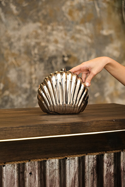 ROZA CANTA Γυναικεία Βραδινή Τσάντα Φόρεμα με Ασημένια Μεταλλική Αλυσίδα Μοντ...