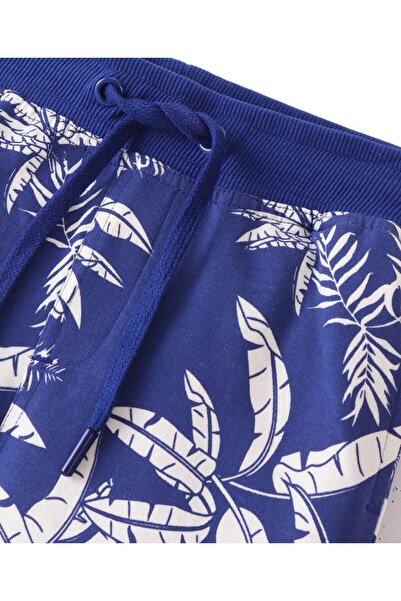 Pine kids Terry Above Knee Length Shorts Trees Print - Blue