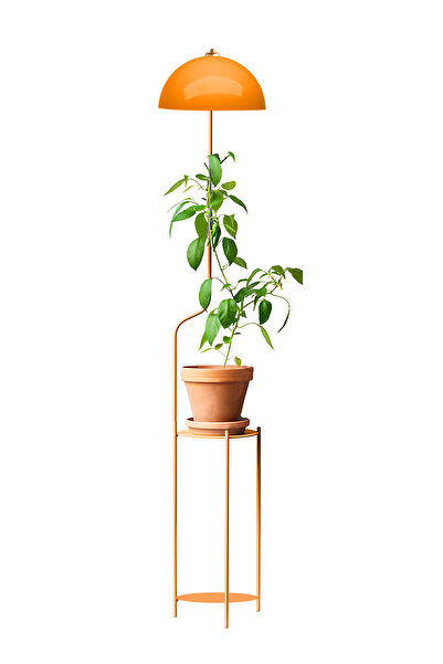 HOMİNG Homing Luopi Turuncu Çiçek Standlı Raflı Lambader