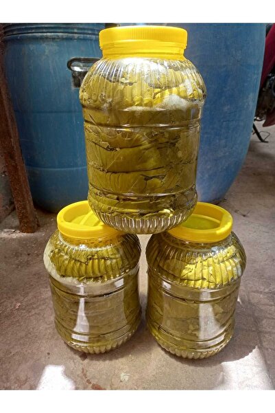 NUR DOĞAL ÜRÜNLER Manisa Sultaniye Salamura Asma Yaprak Yeni Mahsül 4 Kilogramlık Bidonda