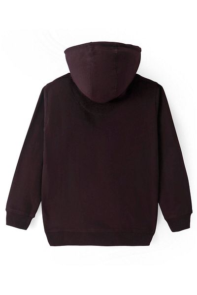 Pine kids Cotton Knit Full Sleeves Hooded Sweatshirt with Dino Print - Brown