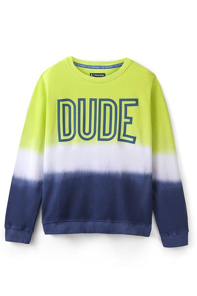 Pine kids 100% Cotton Full Sleeves Sweatshirt Dude Printed - Sulphur Spring & Blue Depths