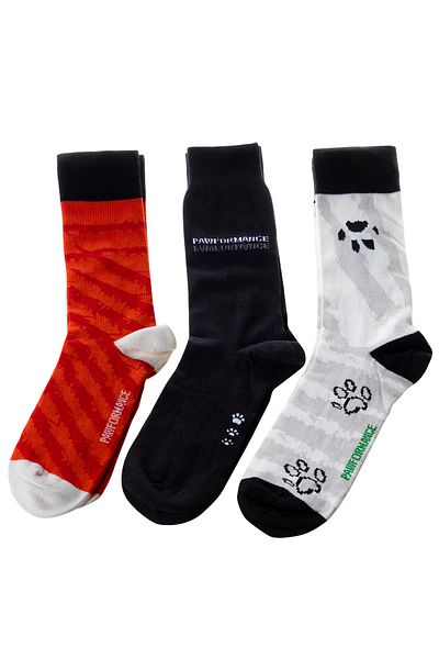Biggdesign Set de șosete pentru bărbați cu câini