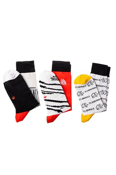 Biggdesign Set de șosete Pawformance pentru câini