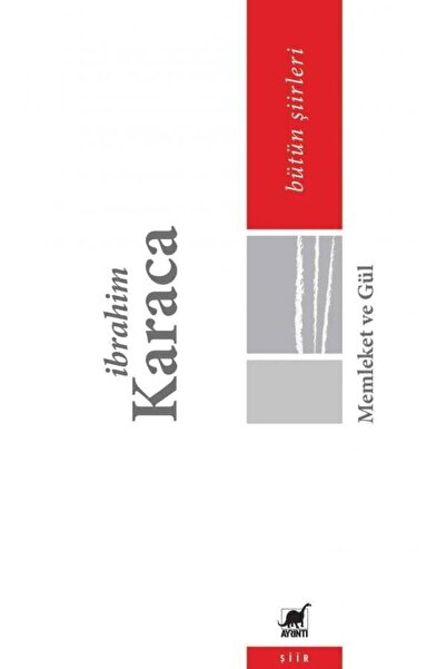 Ayrıntı Yayınları Memleket ve Gül / İbrahim Karaca,