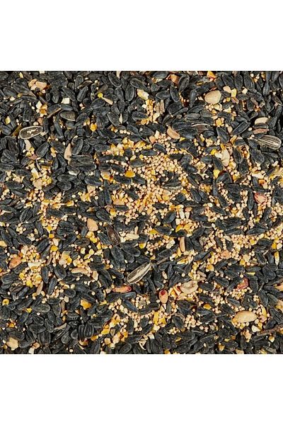 kaytee Songbird Blend Black Oil Sunflower Seed Wild Bird Food