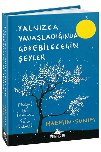 Pegasus Yayınları Yalnızca Yavaşladığında Görebileceğin Şeyler (Ciltli) Haemin Sunim