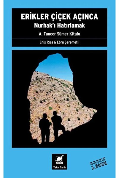 Ayrıntı Yayınları Erikler Çiçek Açınca / Ahmet Tuncer Sümer