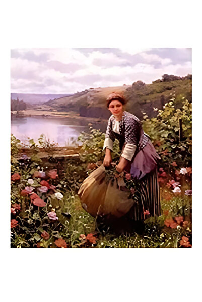 Buhobi ورق نقل جاهز CD919 - نقل سهل مقاس 25 × 35 سم