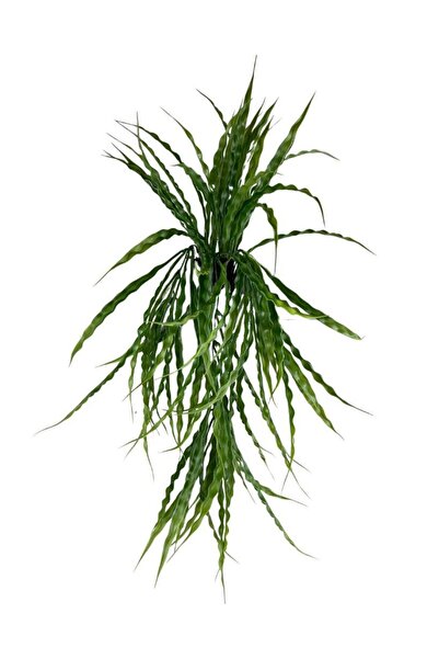Nettenevime Yapay Çiçek Saksıda Sarkan Yeşil Kıvrımlı Saz 70cm