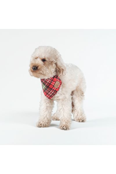Patipatron Adjustable Dog Scarf for Christmas - Small Breed Design