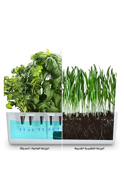 Generic Hydroponic small planting system H-1798