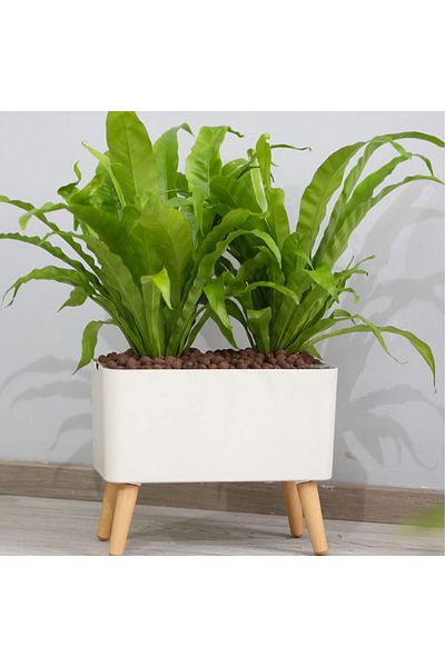 Generic Plant lazy automatic watering pot with alarm M504