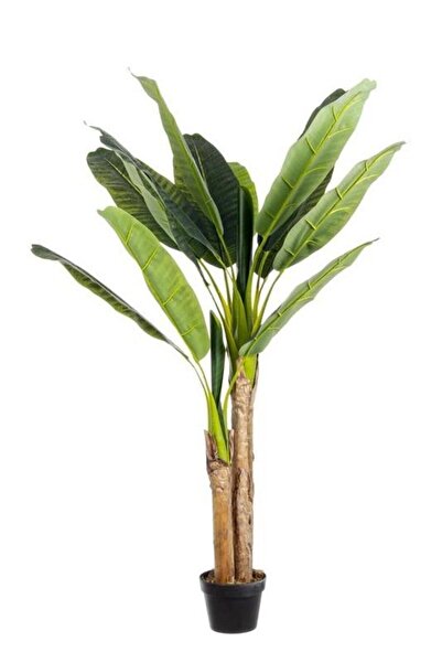 Nettenevime Yapay Ağaç Muz Ağacı Yapay Starliçe 220cm