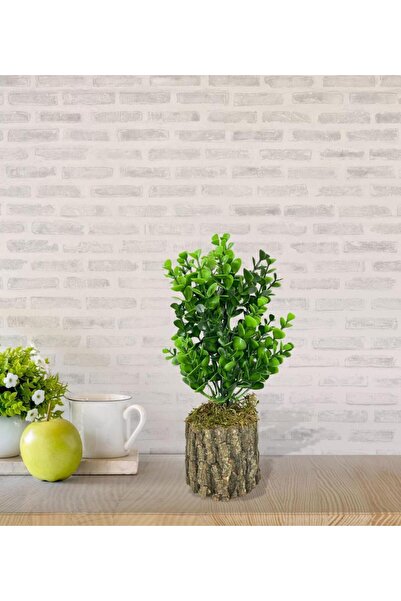 Nettenevime Yapay Çiçek Doğal Kütük Odun Saksıda Jumbo Şimşir Okaliptus Masa Çiçeği