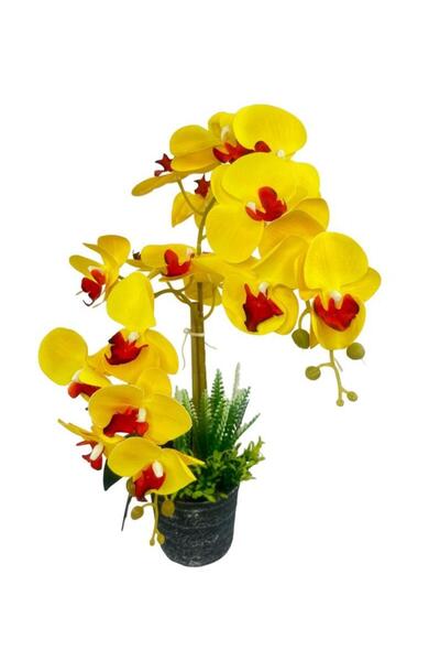 Nettenevime Yapay Çiçek 2li Sarı Kırmızı Islak Orkide Seramik Saksıda Orkide ...