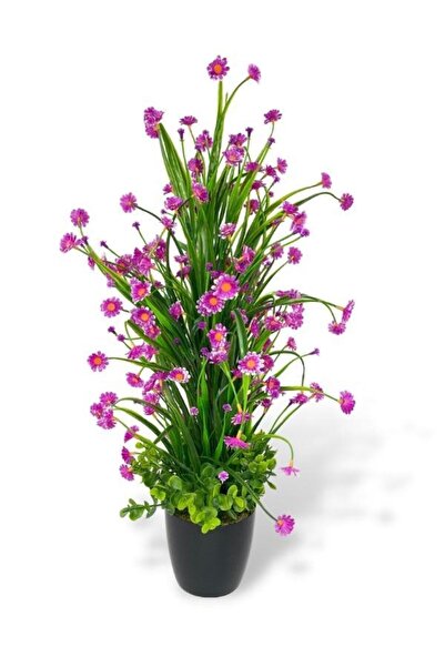 Nettenevime Yapay Çiçek Siyah Saksıda Lila Papatya Ağacı 55cm
