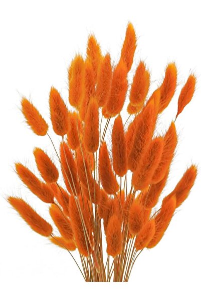 Nettenevime Kuru Çiçek Doğal Turuncu Pamuk Otu 10gram 1. Kalite Şoklanmış Bozulmaz