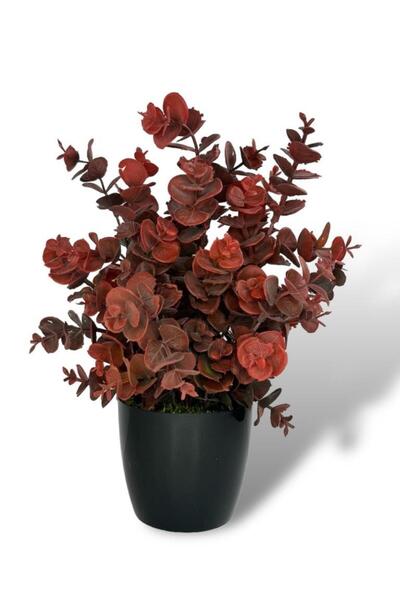 Nettenevime Artificial Flower Black Pot Eucalyptus Boxwood Bunch Powdered Pas...