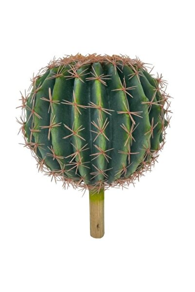 Nettenevime Yapay Çiçek Echinocactus Grusonii Altın Fıçı Kaktüs 25*25cm Cactüs Sk4010