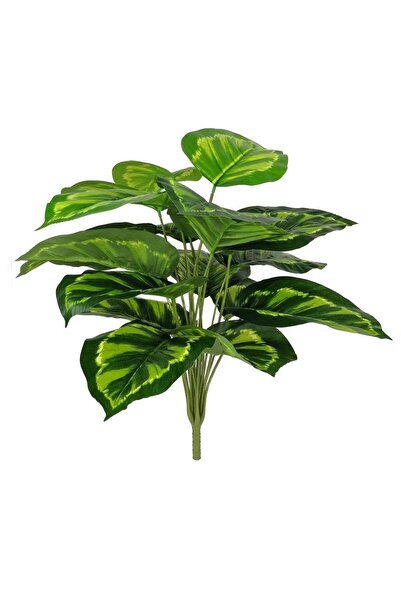 Nettenevime Yapay Çiçek Demet Tropik Difenbahya Çiçeği 18 Dal 85 Cm Salon Çiç...