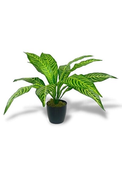 Nettenevime Yapay Çiçek Drecana Yukka 12yaprak Salon Çiçeği Plastik Siyah Saksılı Yapay Bitki