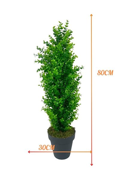 Nettenevime Yapay Çiçek Siyah Saksıda Yeşil Şimşir Ağacı 70*30cm