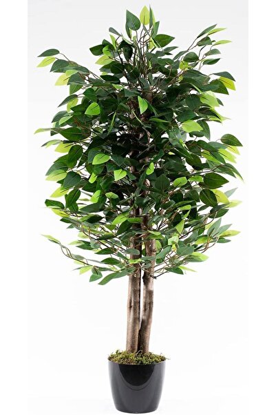 Nettenevime Yapay Ağaç Benjamin Yeşil 2 Gövdeli 110*70cm Siyah Plastik Saksılı