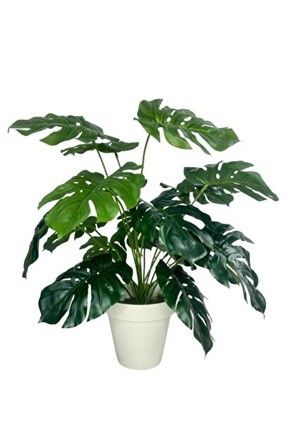 Nettenevime Yapay Çiçek Monstera Salon Çiçeği 50cm Beyaz Saksılı Yapay Bitki