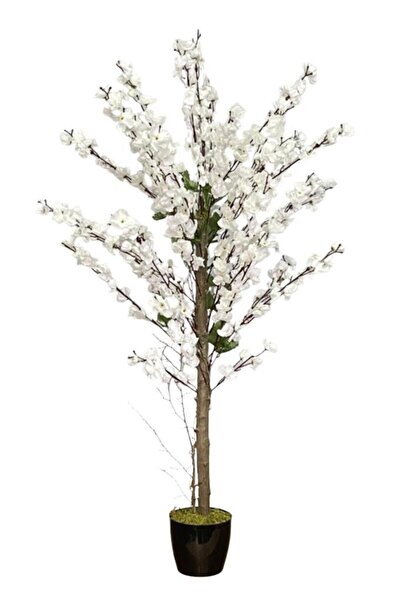 Nettenevime Yapay Ağaç Bahardalı Ağacı Beyaz Japon Kiraz Çiçeği Sakura Çiçeği 127x70cm Siyah Plastik Saksılı