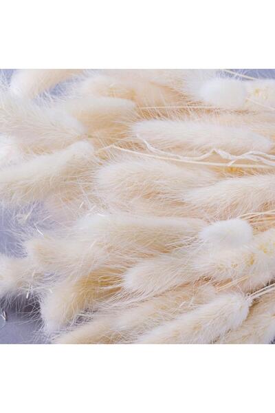 Nettenevime Kuru Çiçek Doğal Krem Natural Pamuk Otu 20gram 1. Kalite Şoklanmış Bozulmaz