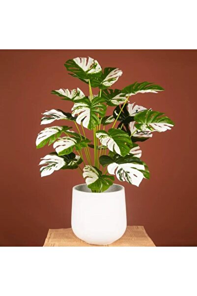 Nettenevime Yapay Çiçek Saksıda Monstera Yeşil Beyaz Deve Tabanı 12dal 70cm Salon Çiçeği Yapay Bitki