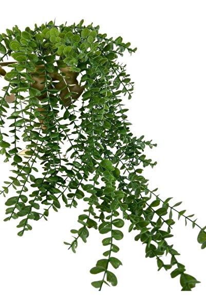 Nettenevime Yapay Çiçek Sarkan Şimşir Okaliptus Jumbo Boy 75*35cm Yapay Sarmaşık