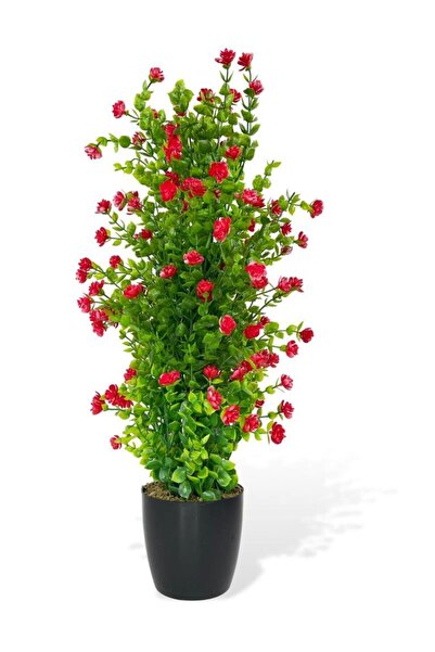 Nettenevime Yapay Çiçek Siyah Saksıda Kırmızı Mineli Şimşir Ağacı 55cm