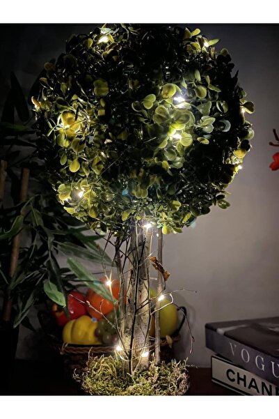Nettenevime Led Işıklı Şimşir Top Yılbaşı Ağacı Tek Toplu 23cmx45cm Siyah Saksılı