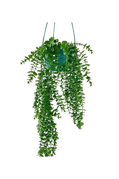 Nettenevime Yapay Çiçek Sarkan Yeşil Balkon Saksısında Şimşir Okaliptus