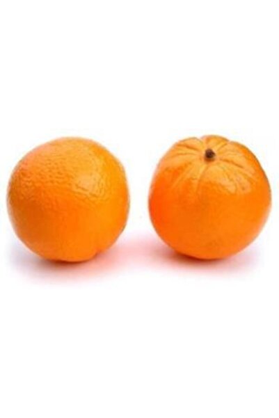 Nettenevime Artificial Orange 6 Pack Artificial Fruit