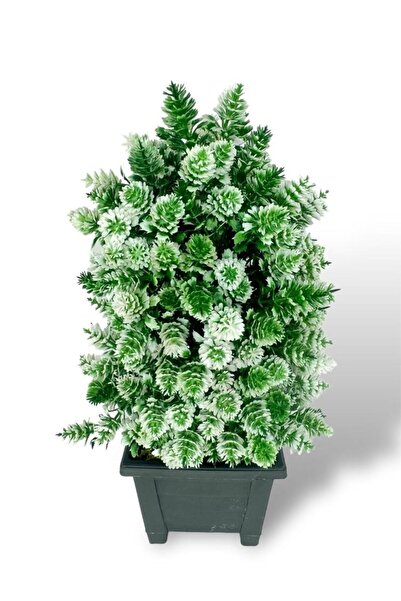 Nettenevime زهرة اصطناعية شجرة بونساي الأبيض مخروط نموذج ديكور شجرة اصطناعية بونساي 30*15 سنتيمتر في وعاء مربع أسود