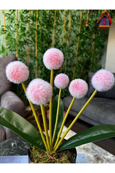 Nettenevime Yapay Çiçek Kırmızı Açık Pompon Siyah Saksıda Dekoratif Yapay Çiçek 30*20cm