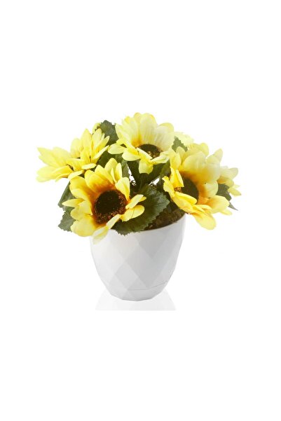 Nettenevime Yapay Çiçek Ay Çiçeği Beyaz Saksıda Dekoratif Masa Çiçeği