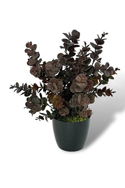 Nettenevime Yapay Çiçek Siyah Saksıda Okaliptus Şimşir Demeti Pudralı Pastel Kahverengi Dekoratif Yapay Bitki